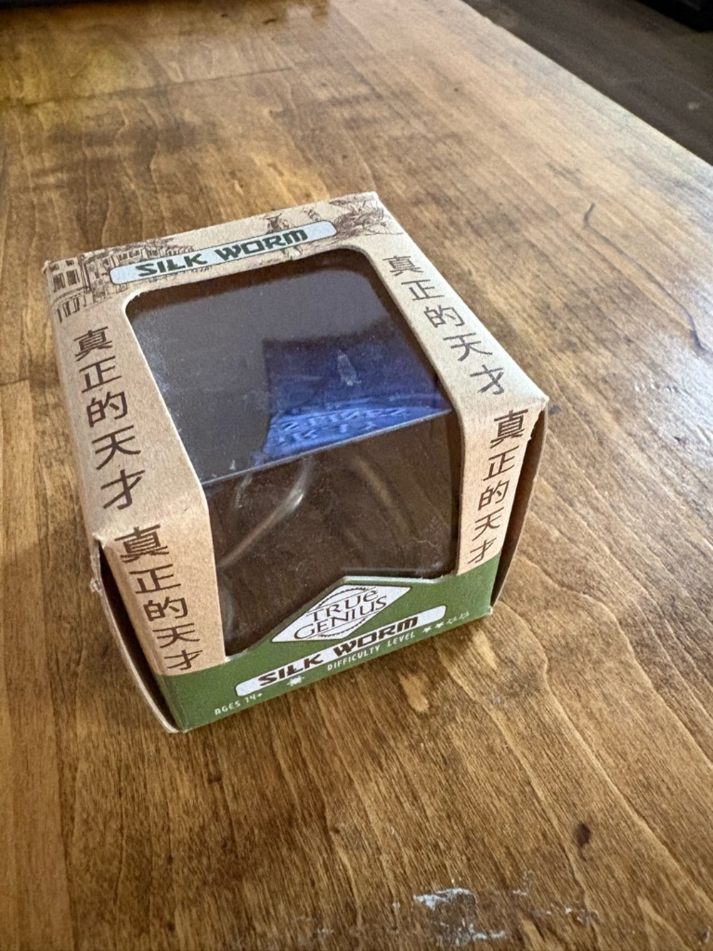 Silk Worm Puzzle by True Genius